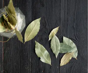 Bay Leaf