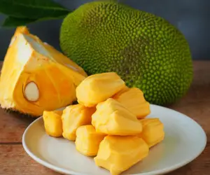 Jackfruit