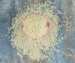 Jeerakasala rice