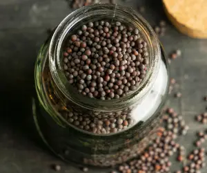 Mustard Seed