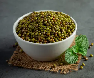 green gram sprouts-seed-white-small-bowl