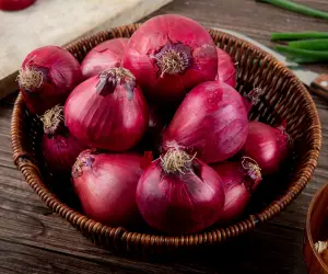 onion